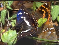 b07_t.jpg (3453 Byte)