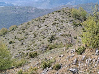 Biotop  in Bulgarien Pirin-Süd-Gebirge